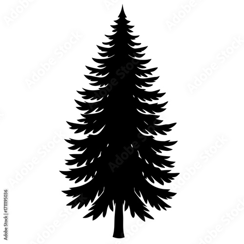 Simple black silhouette of a coniferous evergreen tree on a white background