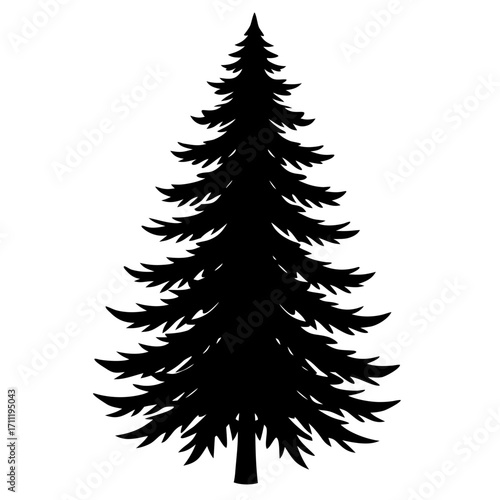 Simple black silhouette of a coniferous evergreen tree on a white background
