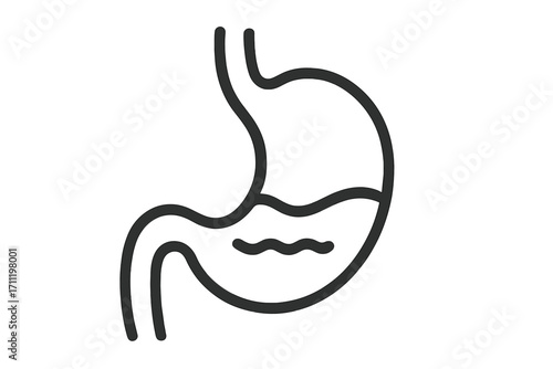 Stomach vector icon. Linear symbol of human digestive system. Digestion concept. Gastric, belly, gastrointestinal organ. Anatomy, healthcare, medicine logotype. Stomachache.
