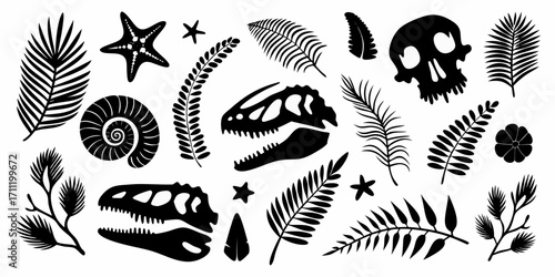 Collection of black silhouette dinosaur skulls prehistoric plants starfish and ammonite fossil on white background