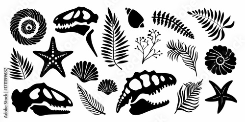 Collection of black silhouette illustrations of dinosaur skulls seashells starfish and fern leaves on a white background