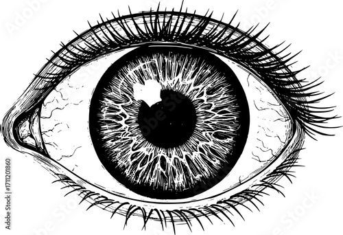 Eyeball with angel wings sketch engraving black and white outline. Scratch board imitation.
