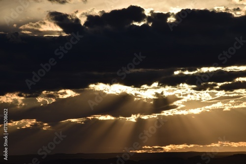 araffes are flying through the clouds in the sky