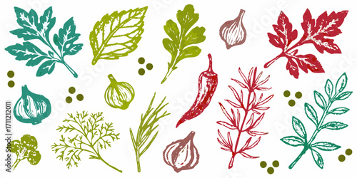 Hand drawn culinary herbs and spices collection with garlic chili pepper and peppercorns