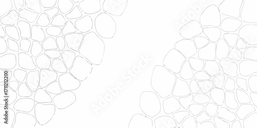 Abstract organic cell like pattern with irregular shapes and thin lines on a white background