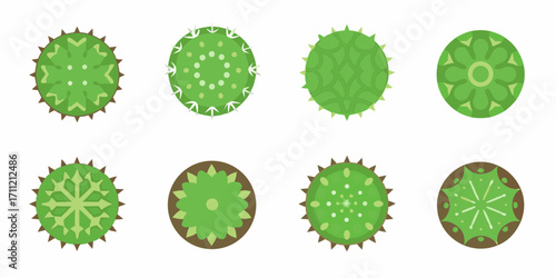 Collection of eight stylized green cactus plants viewed from above in a flat design style