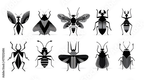 Collection of various insects in black and white showcasing different species and forms.