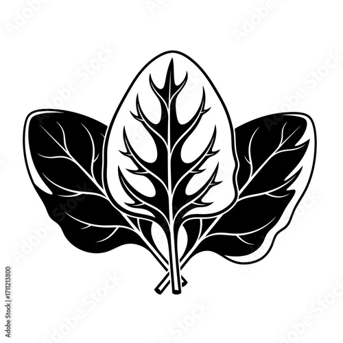 Vector art of three spinach leaves, symbolizing healthy eating, organic food, and vegetarianism