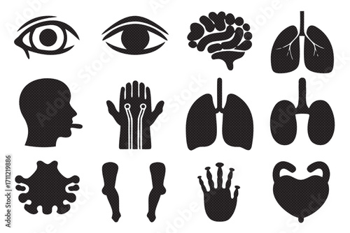 Human anatomy icons, featuring internal organs, body parts, and medical symbols in simple black silhouettes
