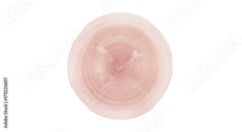 Oval shape formed by concentric circles with a central focal point