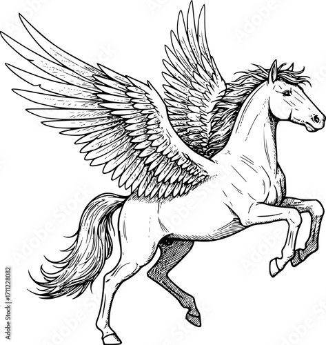Pegasus sketch engraving black and white outline. Scratch board imitation. illustrated in vintage line art style on a white background.
