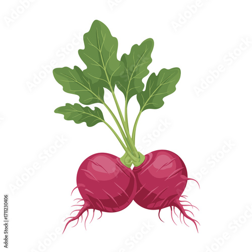 Freshly harvested red radishes with vibrant green leaves root vegetables for healthy eating and culinary delights