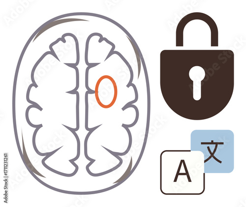 Brain outline with marked language area, padlock for security, and language translation icons. Ideal for neuroscience, language processing, learning, cognition, security, AI simple flat metaphor