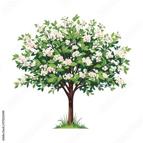 A beautifully blooming tree adorned with delicate white flowers and lush green leaves in a springtime setting