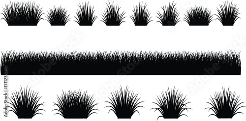 Black grass silhouette set, vector plant illustrations, nature elements, lawn design, garden border, decorative vegetation, isolated on white background