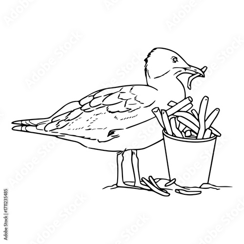 seagull stealing French fries