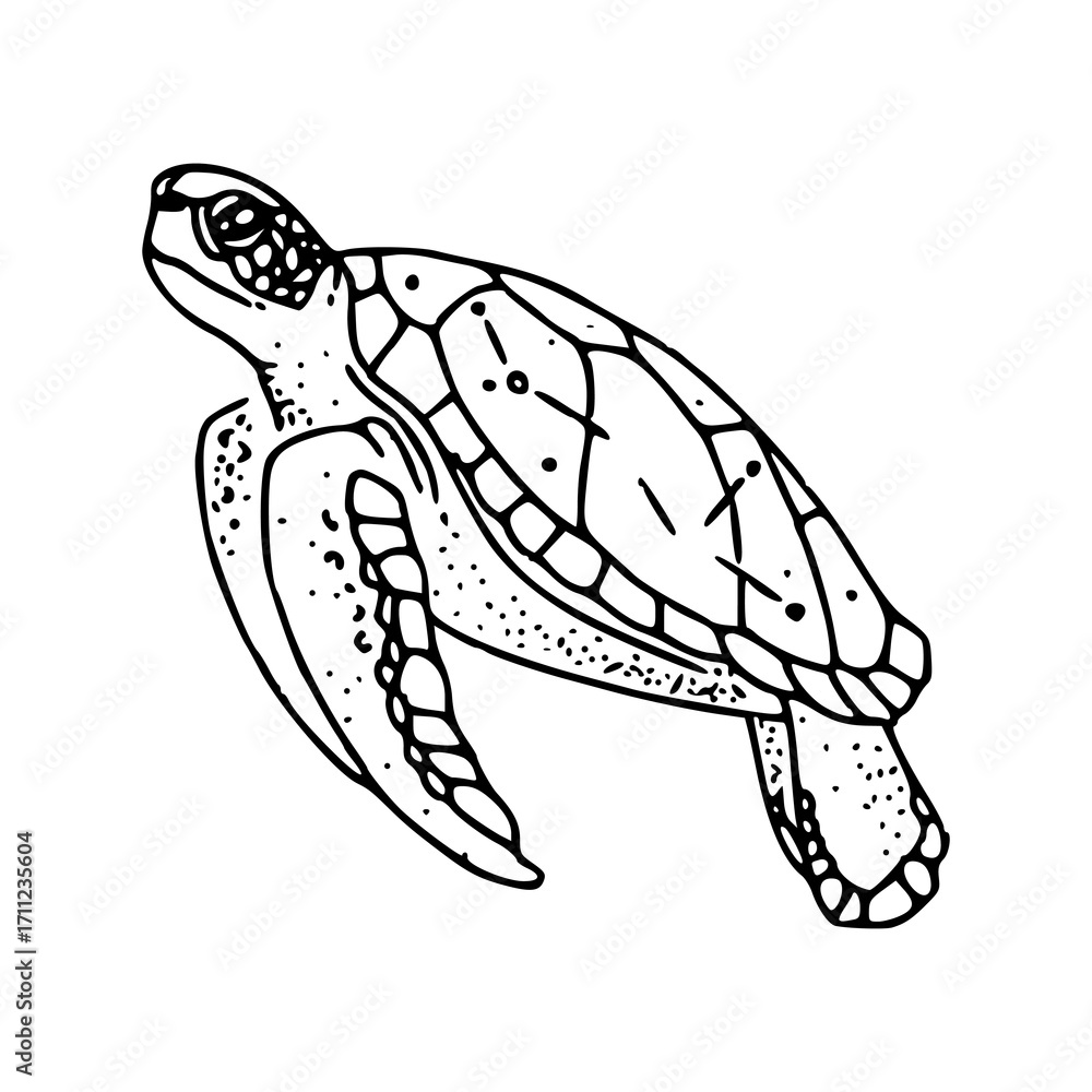 Naklejka premium swimming turtle outline drawing