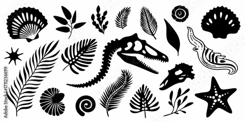Collection of black silhouettes of dinosaur skeletons fossilized shells prehistoric plants and marine life