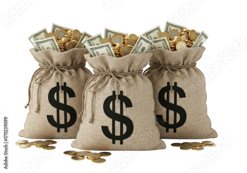 Money bags isolated on transparent background