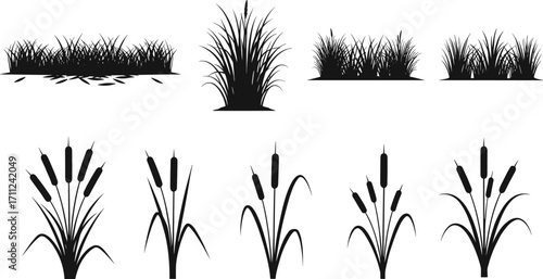 Black Silhouette Set of Reeds and Grass, Vector Nature Elements, Landscape Design, Botanical Icons, Wetland Plants, Garden Decor, Wild Vegetation, Natural Backgrounds