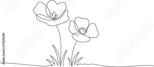 Delicate Floral Whispers: A minimalistic illustration of two elegant poppy flowers, their slender stems rising gracefully amidst simple blades of grass.