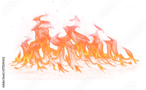 Vivid Orange and Red Flames Against a White Background.