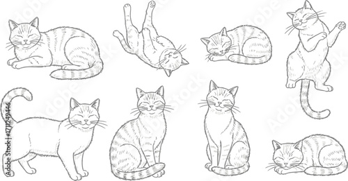Adorable cats in various poses bring joy and playful energy to your creative projects today!