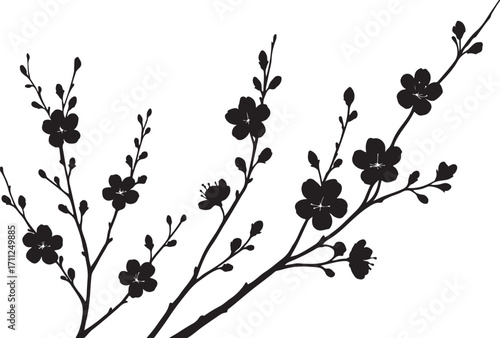 Blooming Silhouette of Cherry Blossoms: Delicate silhouette captures the ephemeral beauty of cherry blossoms on branches against a simple, minimalist backdrop. A symbol of spring and renewal.