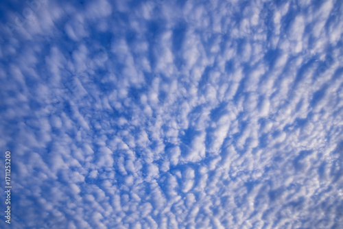 鱗雲