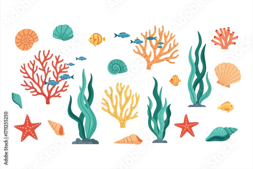 Collection of colorful cartoon sea creatures and plants on white background seashell starfish