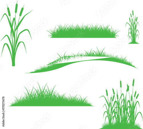 Green Grass and Reed Silhouettes, Vector Nature Elements, Landscape Design, Garden Decor, Outdoor Vegetation, Natural Backgrounds, Botanical Icons, Wild Flora
