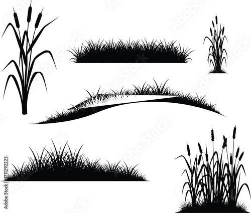 Reed and grass silhouette set, vector nature elements, wetland plants, landscape design, black plant icons, isolated on white background, garden border illustration