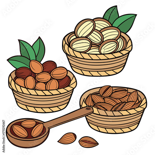 Baskets overflowing with fresh argan fruits and almonds alongside wooden spoon are neatly organized