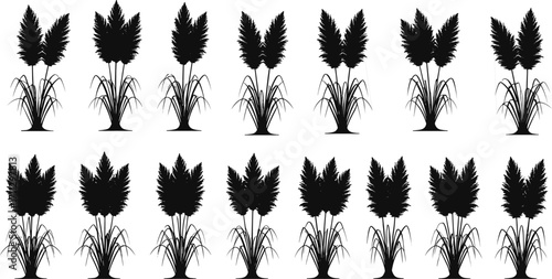 Sugarcane silhouette pattern, botanical grid design, black sugarcane stalks, tropical plant art, agricultural illustration, farming icon, nature vector, crop graphic