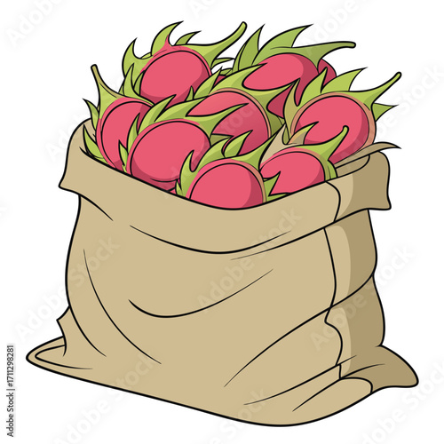 A brown burlap sack overflows with several ripe pink dragon fruits on white