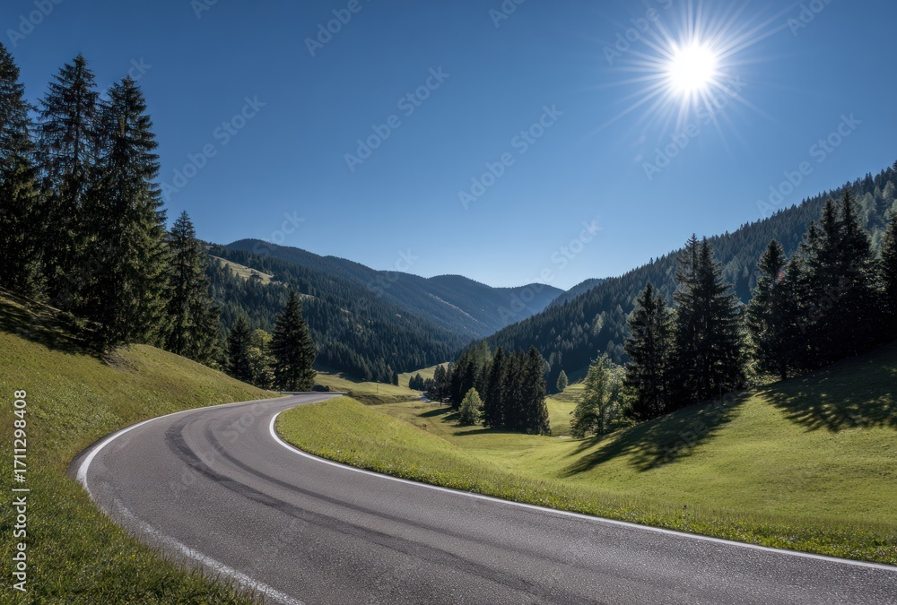 Fototapeta premium A curved road leads through a lush green valley flanked by towering pine trees under a bright, sunny, clear blue sky