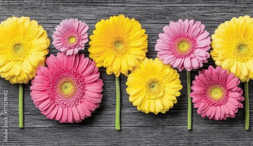 Colorful gerbera daisies arranged on weathered wood