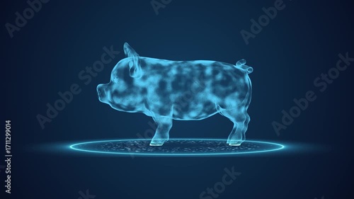 3d pig in HUD scan effect motion animation on dark blue screen for GMO chemical toxic detecting problem solution