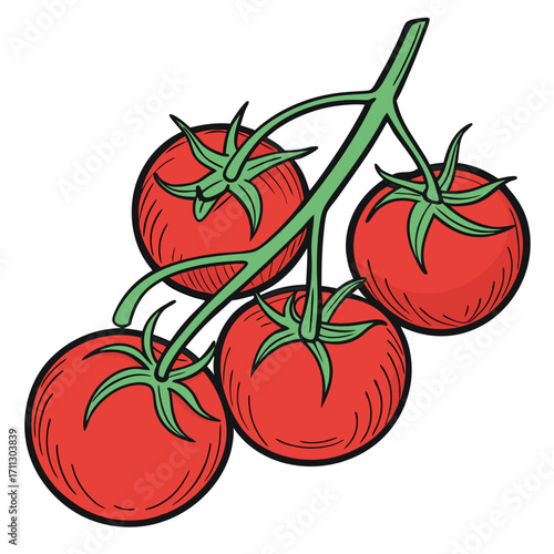 Vivid red tomatoes hang from a simple green vine, creating a fresh illustration on transparent background