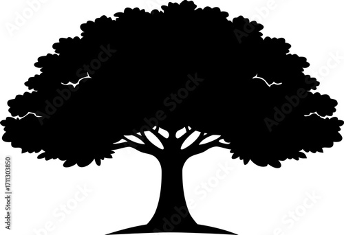 Oak Tree Silhouette Vector Illustration Black and White