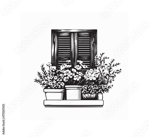 Window with Multiple Flower Pots  Vector Image on white background