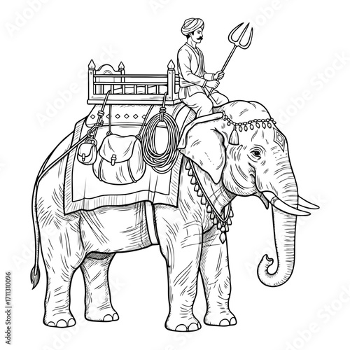 Black and white vector illustration of an elephant rider with his equipment. Plain white background.