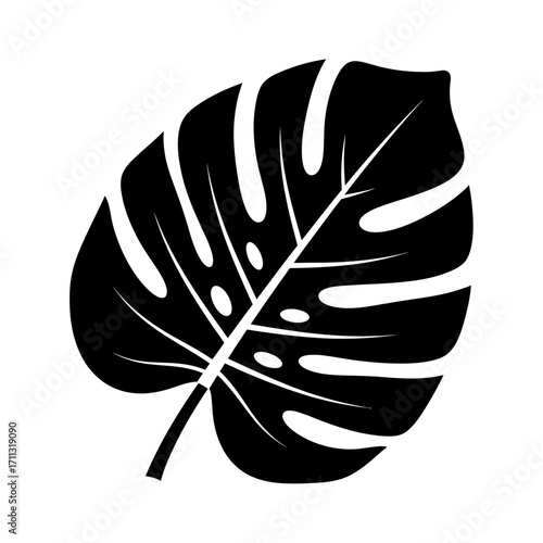 Black silhouette of a tropical Monstera leaf with characteristic splits and holes, isolated on a white background, representing nature and botanical design.