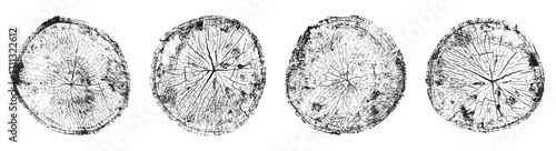 Set of tree trunks. Tree trunk cross-section with wood grain and growth rings. Natural woodcut texture in black and white.