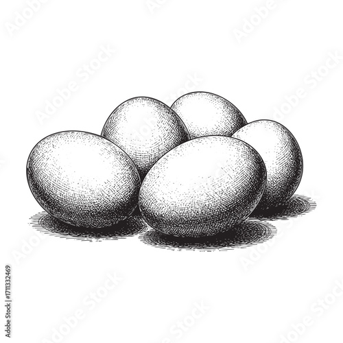 egg farm 