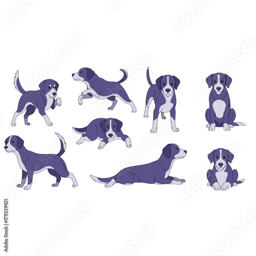 Adorable Blue And White Mixed Breed Dog Poses For Joyful Companionship Isolated On Transparent Background
