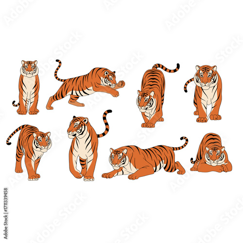 Majestic Bengal Tigers Posed Dynamic Motion Isolated on Transparent Background