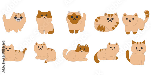 Cute Cartoon Cat Illustration