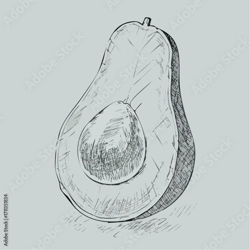 graphite pencil sketch vector avocado half with stippled seed cavity and soft tonal transitions for recipe designs