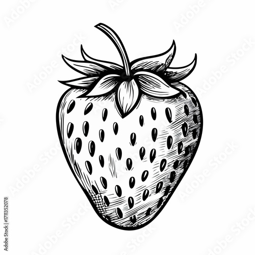 graphite pencil sketch vector strawberry with stippled texture and smooth tonal gradations for gourmet recipe cards